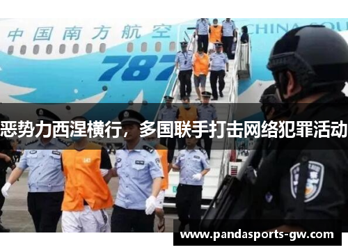 恶势力西涅横行，多国联手打击网络犯罪活动